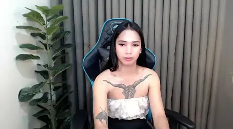 Ts_simplicity webcam model stream image