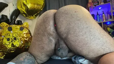 Bearspigdirty webcam model stream image