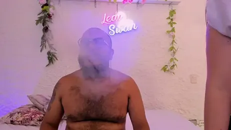 leda_swan webcam model stream image