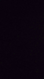 DePamplona webcam model stream image
