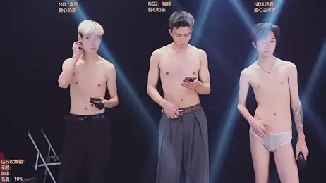 AOA-KING webcam model stream image