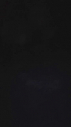 Zabu09 webcam model stream image
