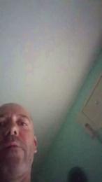 vogliaporcellin webcam model stream image