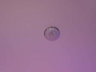 betty-ross webcam model stream image