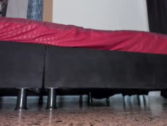 trinitixx webcam model stream image