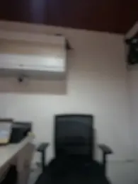 Sofia_Collins- webcam model stream image