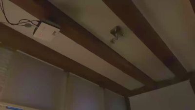 SirWoodyScott webcam model stream image