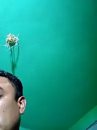 427ferchito webcam stripchat model stream image