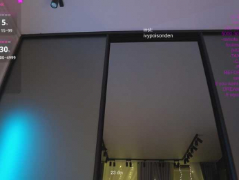 theivyden webcam model stream image