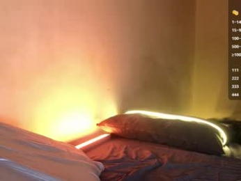 theoravi webcam model stream image