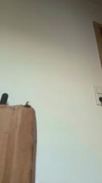 robertmeier_hot webcam model stream image
