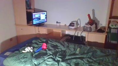talanduse webcam model stream image