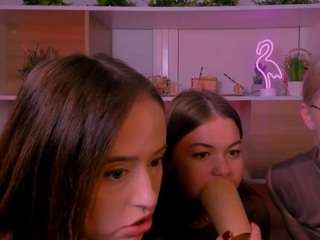 sendi-cais webcam model stream image