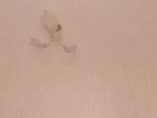 melissajordan webcam model stream image