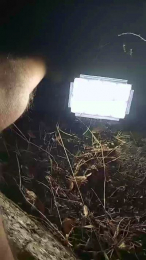 Erosmasck webcam model stream image