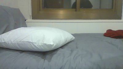 Javierfribolite webcam model stream image