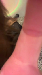XxElainaxX webcam model stream image