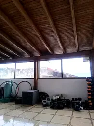 Alison_fitness webcam stripchat model stream image