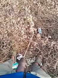 Sandeepa897 webcam model stream image