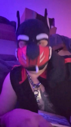 dog_odin webcam model stream image