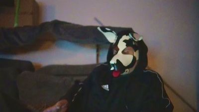 dog_odin webcam model stream image