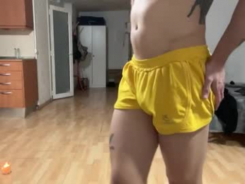 aiasar webcam model stream image