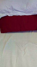 puppipappis webcam model stream image