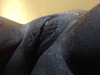 Joycc1 webcam bongacams model stream image