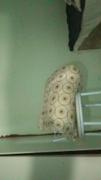 Preta8393 webcam cam4 model stream image