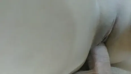 sex_duofanastic webcam stripchat model stream image