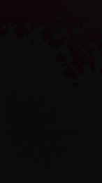 Zayuri webcam model stream image