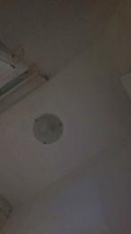 layla229 webcam cam4 model stream image