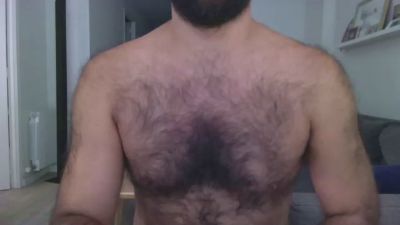 maestroy webcam model stream image