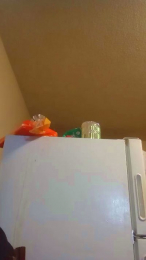 TattedRhino69 webcam model stream image