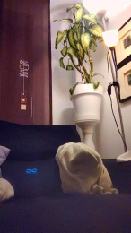 Erikgay47es webcam model stream image