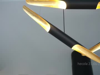 hecola webcam model stream image