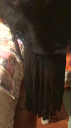 Famabri webcam model stream image