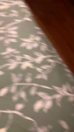 Famabri webcam cam4 model stream image