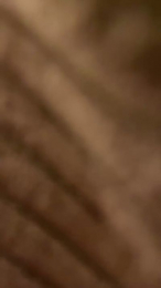 Loriginal32 webcam model stream image