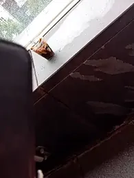 Wir2002Paar webcam model stream image