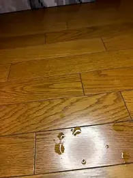 ippei0001 webcam model stream image