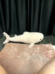 lovelly_molly webcam model stream image