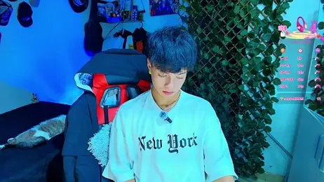 twink_sebas_ webcam model stream image