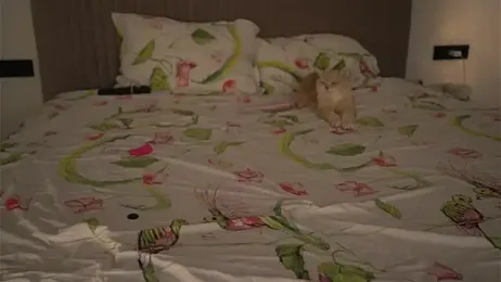 -Snowwwy- webcam model stream image