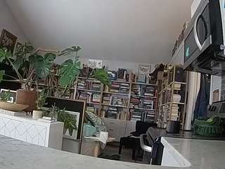 voyeurcam-bridgetleewalters-02 webcam model stream image
