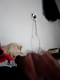 Bigdick-dude webcam model stream image