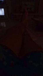 Ldblack webcam model stream image