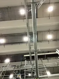 danicohoney webcam model stream image