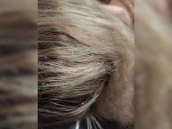 -Molly webcam model stream image
