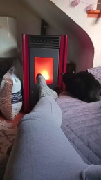 Joel3590 webcam model stream image